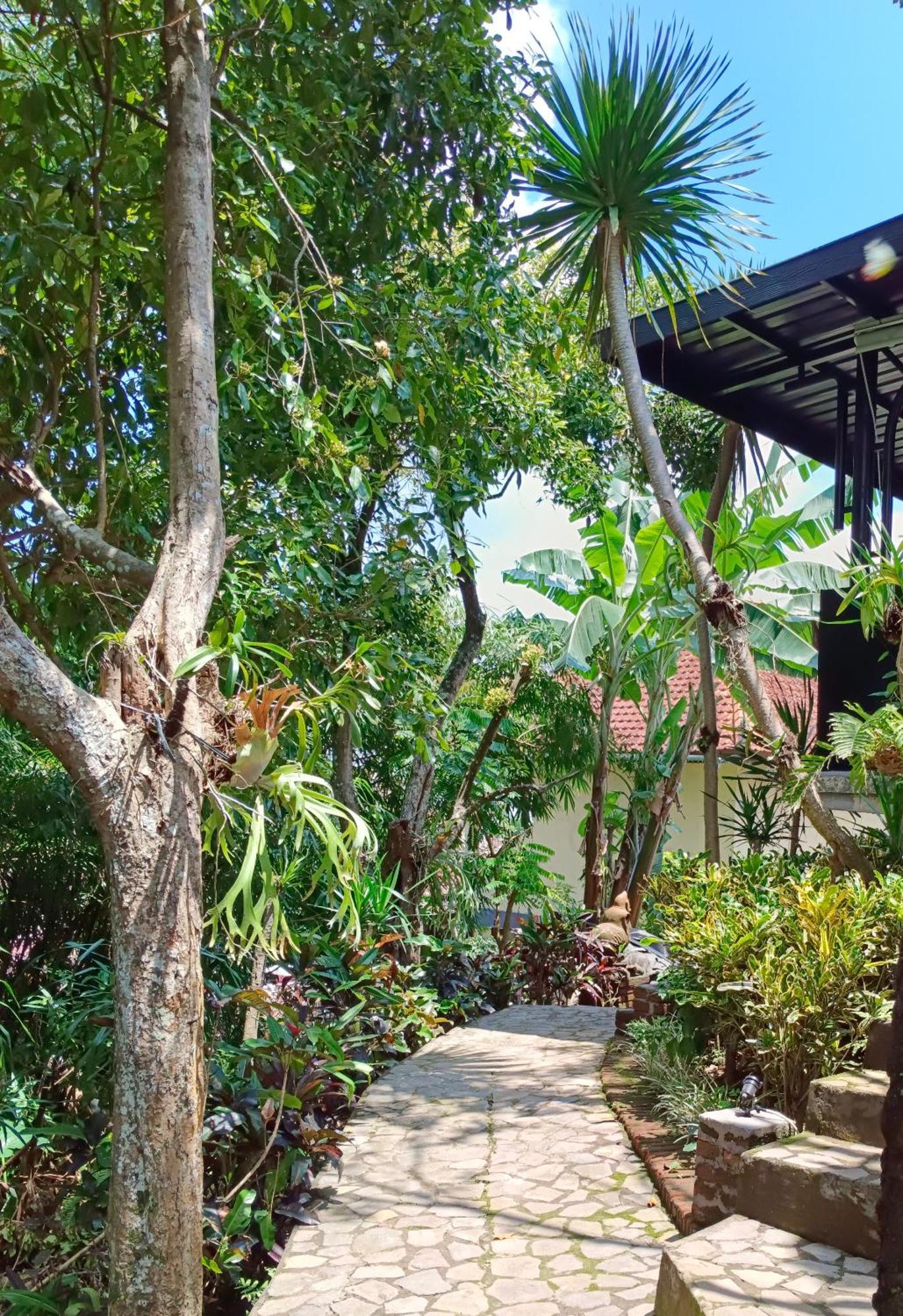 Kraras Munduk Guest House & Donbiyu Rendezvous Restaurant Exterior foto